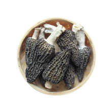 Factory Price Dry  Himalayan Morel Mushroom Morel Mushroom